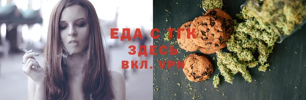 соль ск Ельня