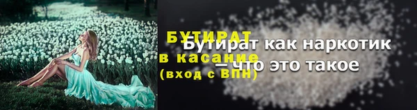 соль ск Ельня