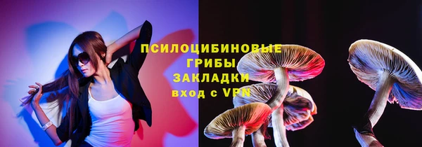 соль ск Ельня