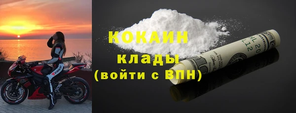 соль ск Ельня