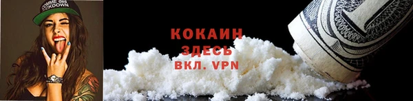 соль ск Ельня