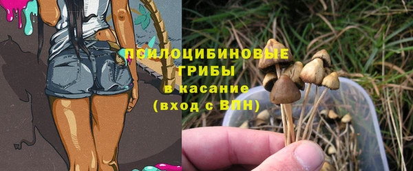 круглые Елизово