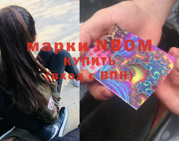 соль ск Ельня